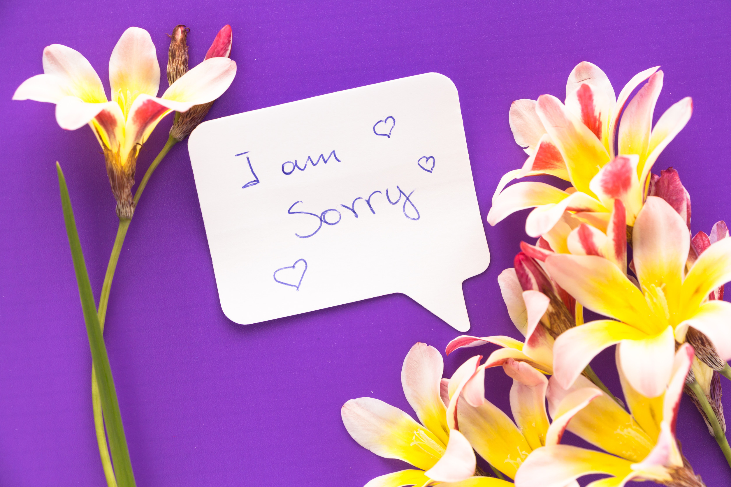 Do You Apologize Correctly? 5 Ways to Use Words to Heal Your Relationship